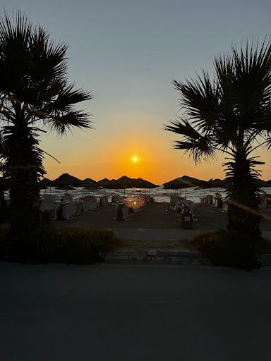Fotoğraf 13