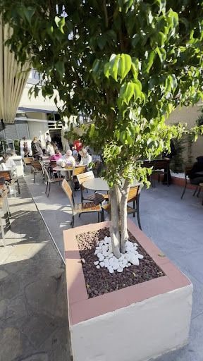 Fotoğraf 29