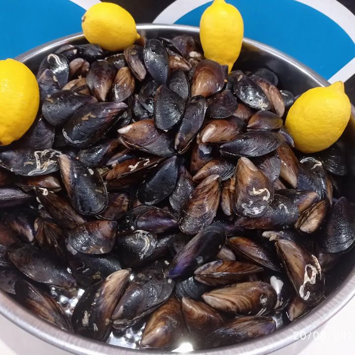 Fotoğraf 21