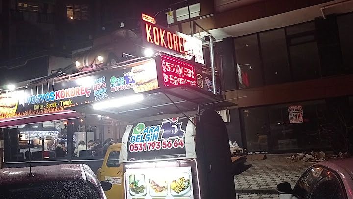 Fotoğraf 17