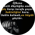 Vural Serin