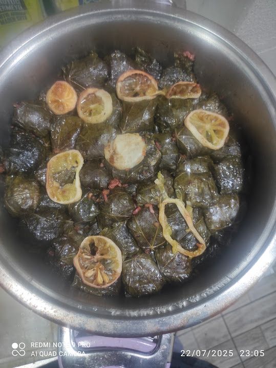 Fotoğraf 15
