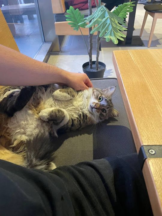 Yorum fotoğrafı 4