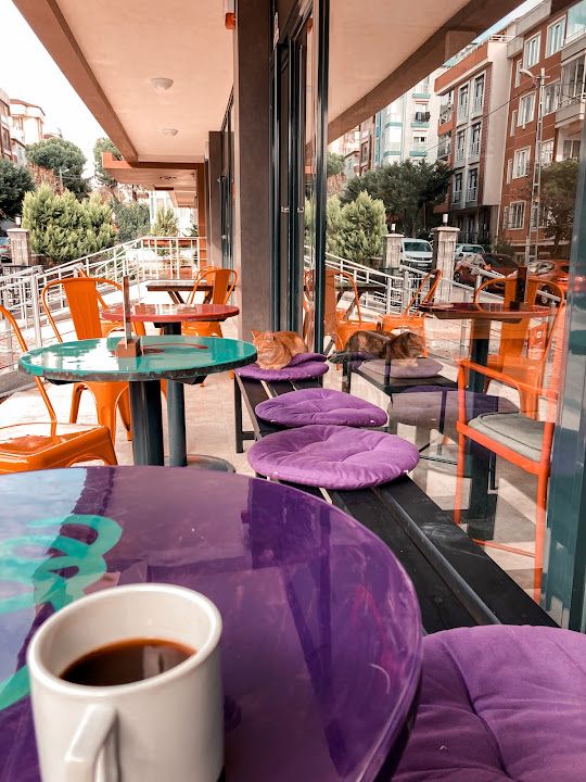 Fotoğraf 62