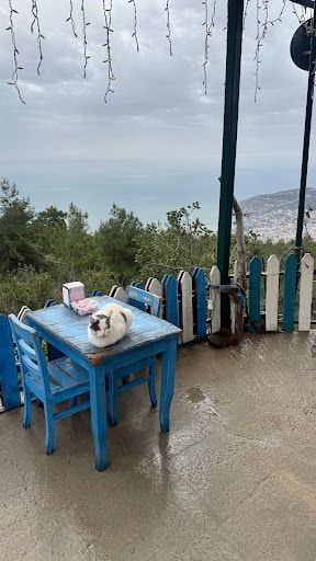 Yorum fotoğrafı 5