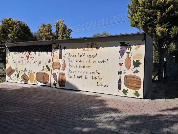 Fotoğraf 31