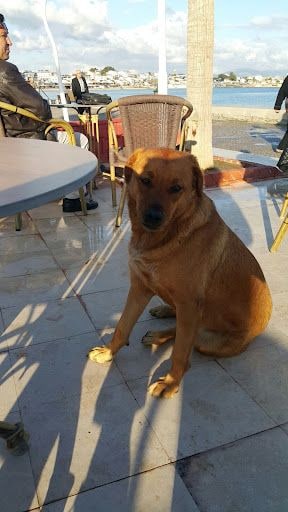 Fotoğraf 7
