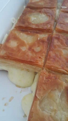 Fotoğraf 22