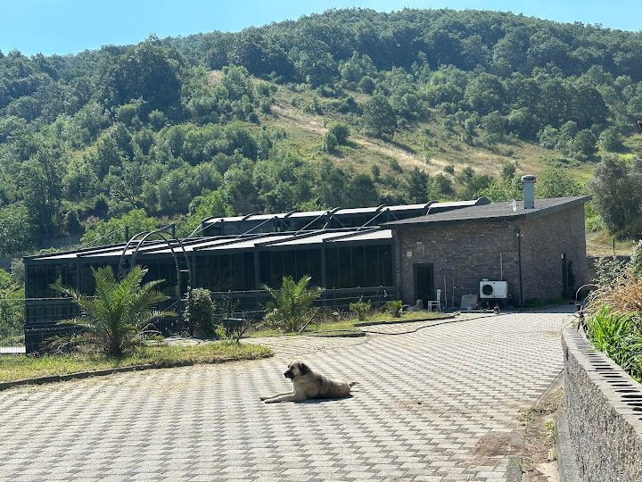 Fotoğraf 13