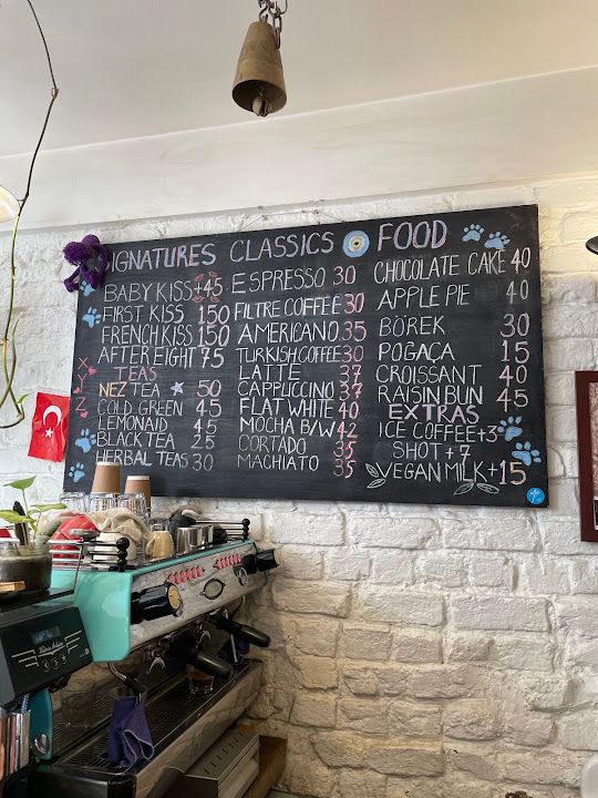 Fotoğraf 30