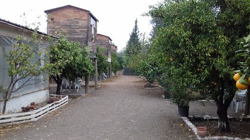 Yorum fotoğrafı 3