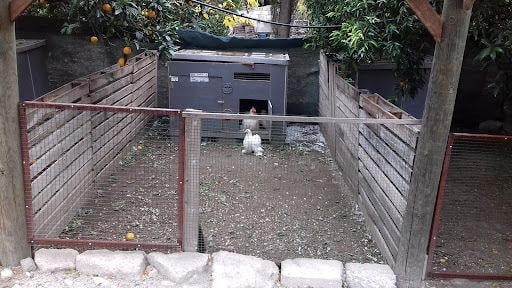 Yorum fotoğrafı 6
