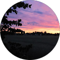 Yağız Algül