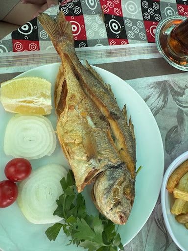 Fotoğraf 11