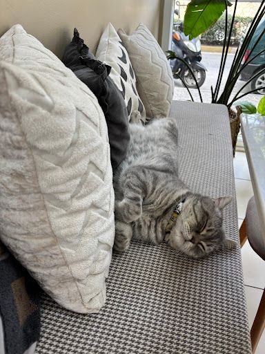 Fotoğraf 16