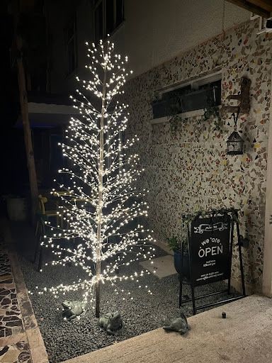 Yorum fotoğrafı 4
