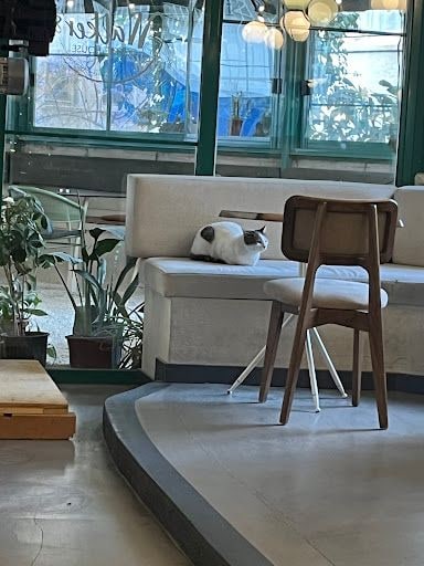 Yorum fotoğrafı 5