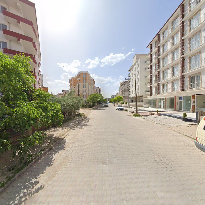 Fotoğraf 10