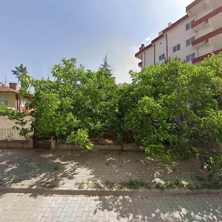 Fotoğraf 9