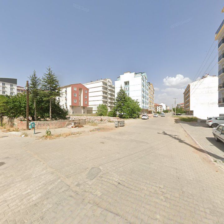 Fotoğraf 12