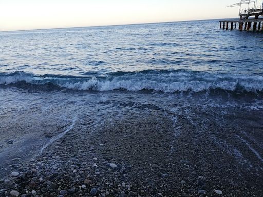 Yorum fotoğrafı 4