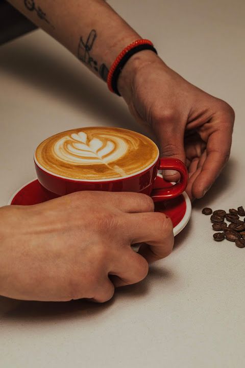 Mp Coffee Lounge