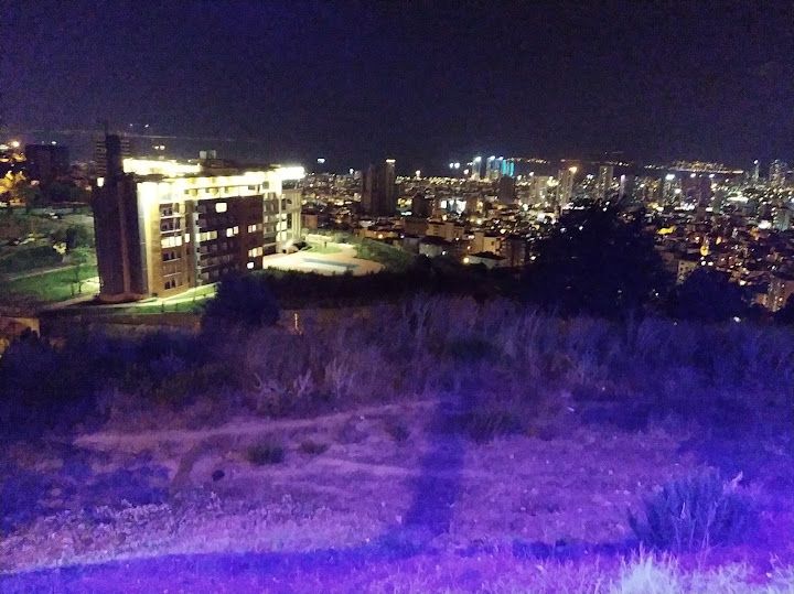 Fotoğraf 20