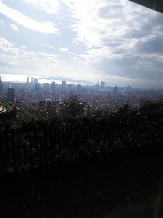 Fotoğraf 24