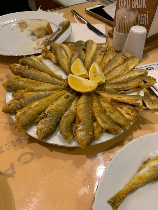 Fotoğraf 33