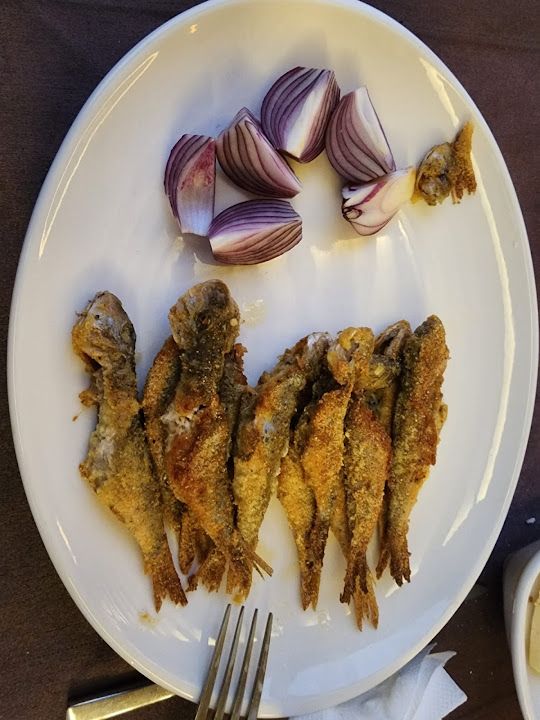 Fotoğraf 26