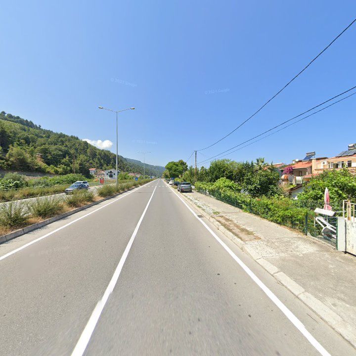 Fotoğraf 11