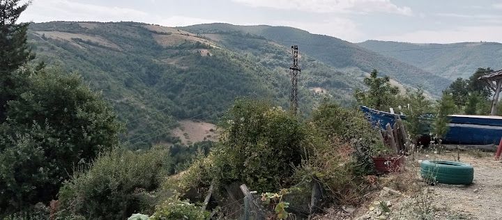 Yorum fotoğrafı 3