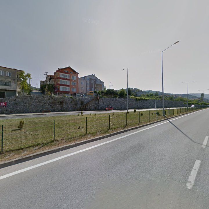 Fotoğraf 14