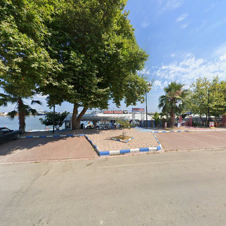 Fotoğraf 7