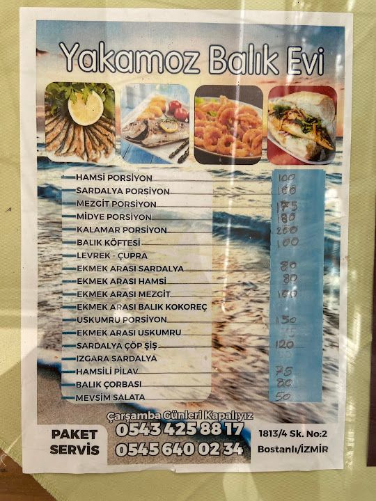 Fotoğraf 15