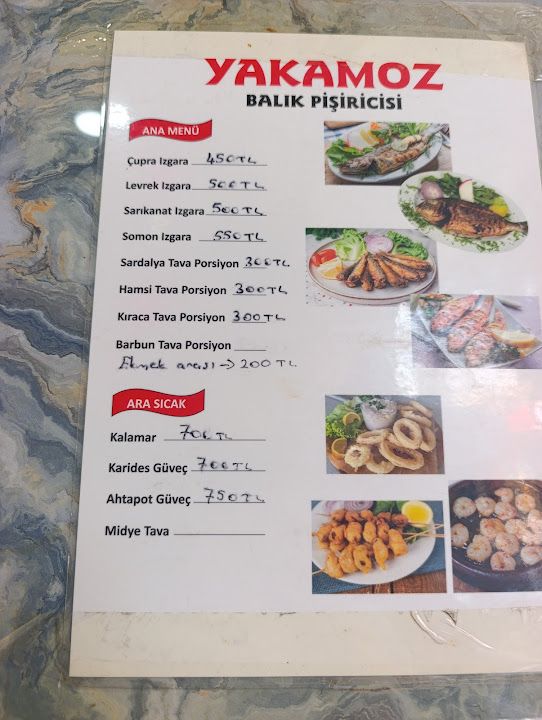 Fotoğraf 12