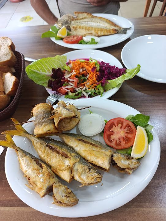 Fotoğraf 17