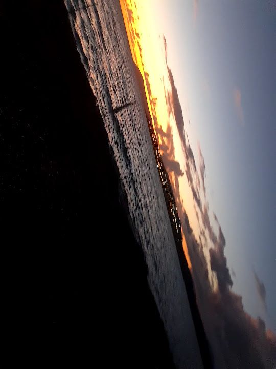 Fotoğraf 14