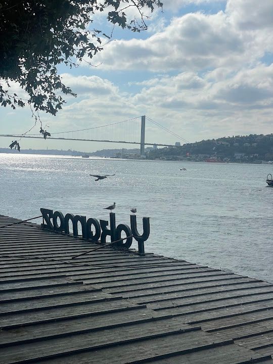 Yorum fotoğrafı 2