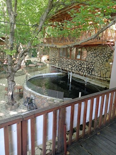 Yorum fotoğrafı 8