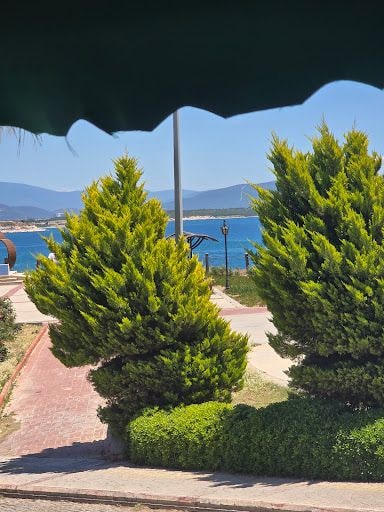 Fotoğraf 15