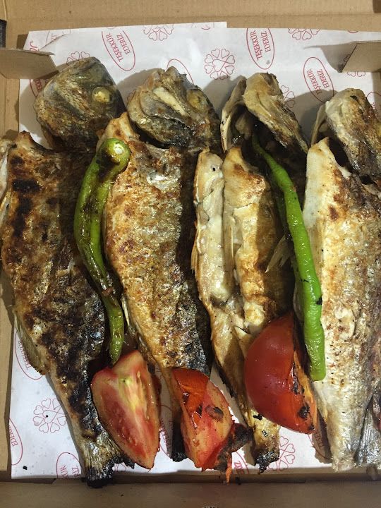 Fotoğraf 20