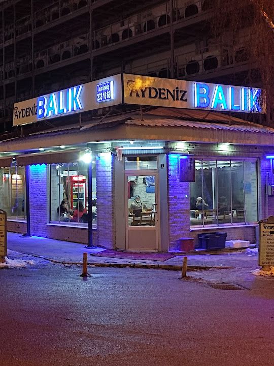 Aydeniz Akçaabat Köfte Ve Balık Evi