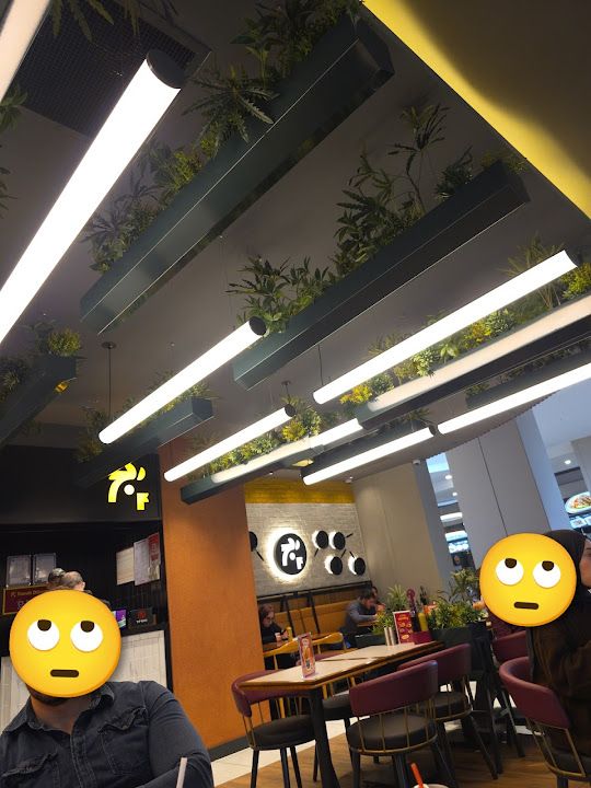 Tavuk Dünyası Mng Avm