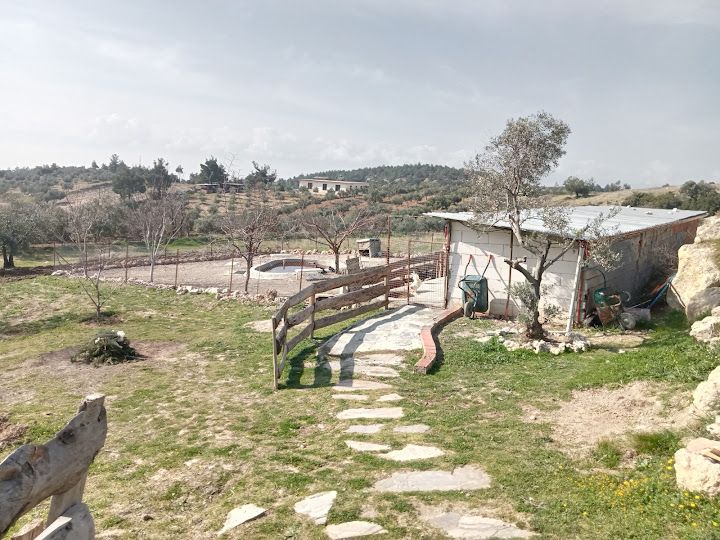 Yorum fotoğrafı 3