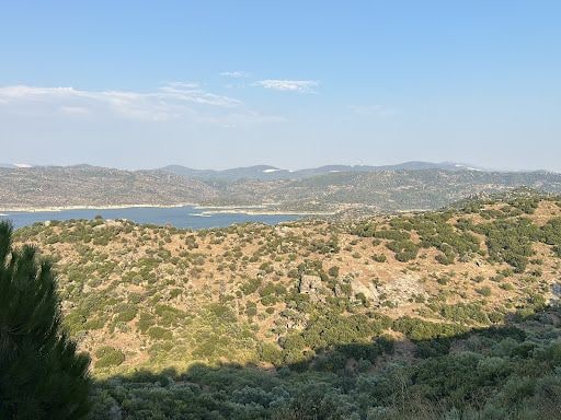 Fotoğraf 15