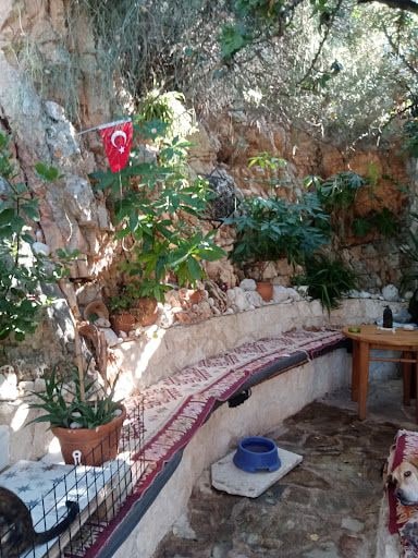 Yorum fotoğrafı 3