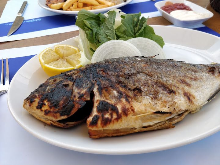 Fotoğraf 45