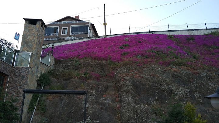 Fotoğraf 62