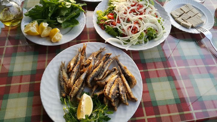 Fotoğraf 24